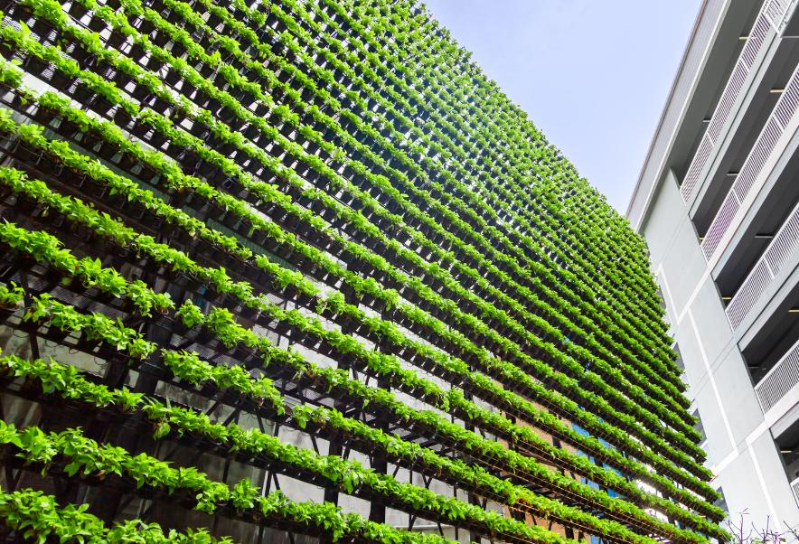 El diseño de jardines exteriores verticales es una de las actuales tendencia