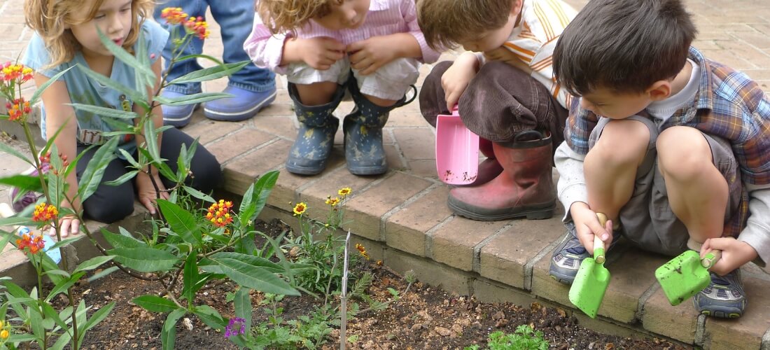 jardineria para los pequeños de la casa puede ser un hobbie para los mas pequeños en araucana te informamos