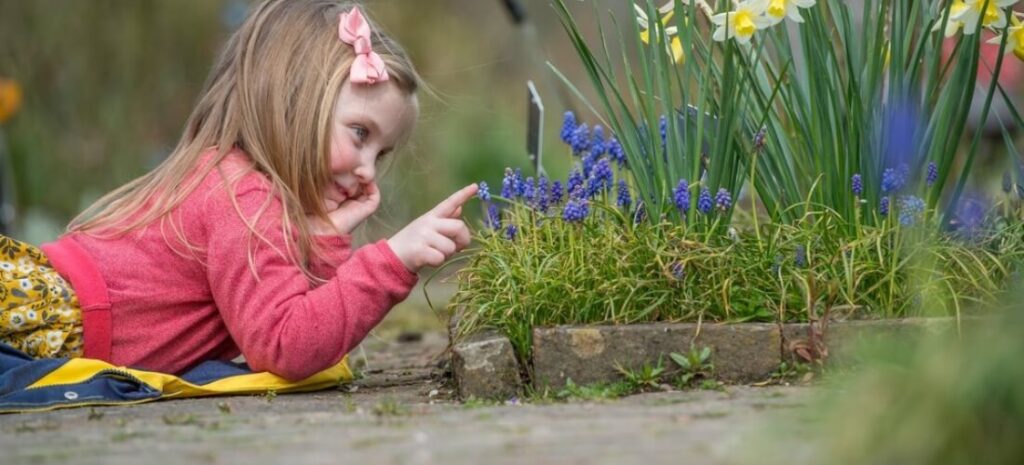 araucana jardineria enseña a los pequeños de casa para aprender hobbie jardineria desde pequeño