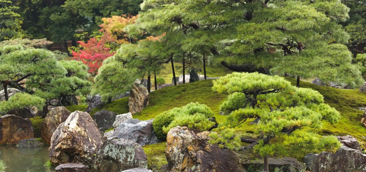 Aprende sobre los jardines Zen con Araucana Garden