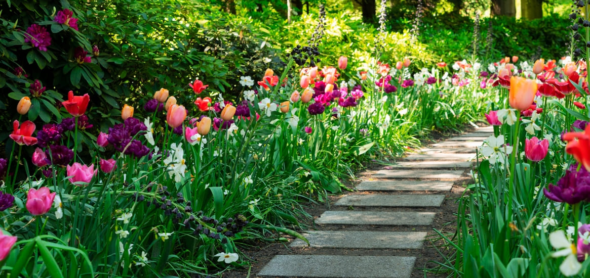 Como cuidar y renovar nuestro jardin adecuadamente: preparar jardín primavera